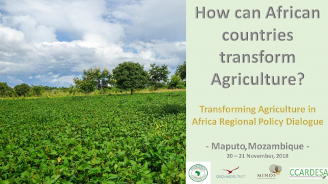 MINDS, Graça Machel Trust, FANRPAN and  CCARDESA partner to host High Level Dialogue on Transforming Agriculture in Africa